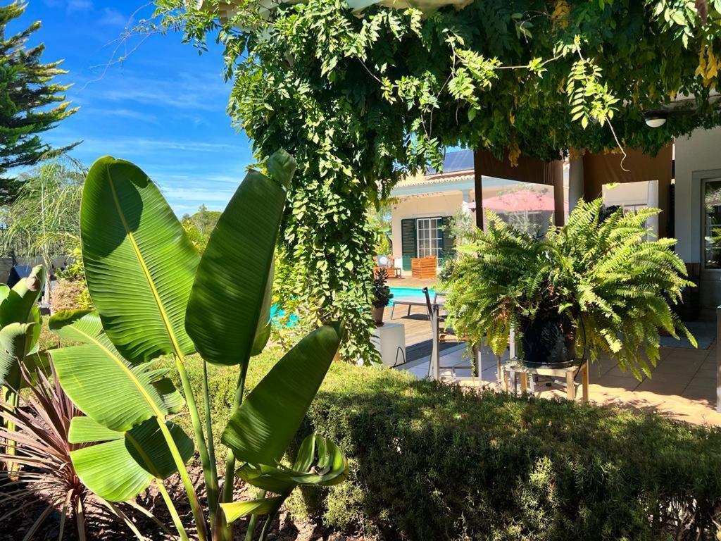 Buganvilias Do Meco Guest House Sesimbra Eksteriør bilde